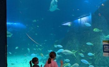 Adventure Aquarium