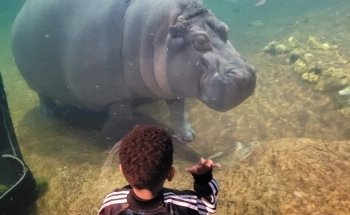 Adventure Aquarium