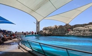 Texas State Aquarium