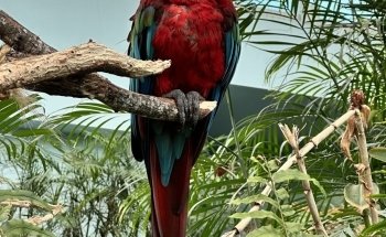 Texas State Aquarium