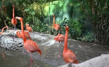 Texas State Aquarium