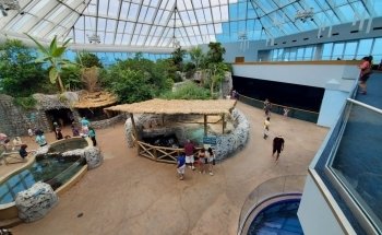 Texas State Aquarium