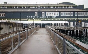 Seattle Aquarium