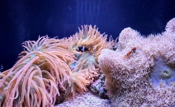 Seattle Aquarium