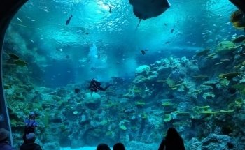 Seattle Aquarium