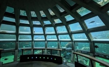 Seattle Aquarium
