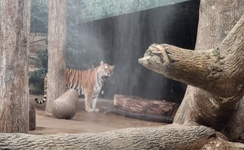 Milwaukee County Zoo