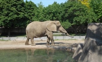 Milwaukee County Zoo