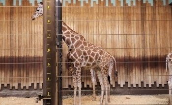 Milwaukee County Zoo