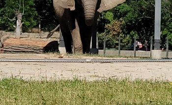 Milwaukee County Zoo