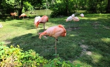 Milwaukee County Zoo