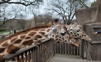 Milwaukee County Zoo