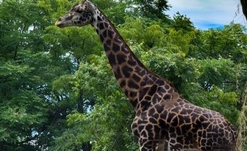 Pittsburgh Zoo & Aquarium