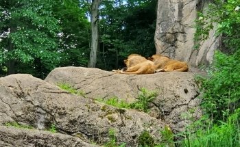 Pittsburgh Zoo & Aquarium