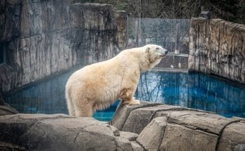 Pittsburgh Zoo & Aquarium
