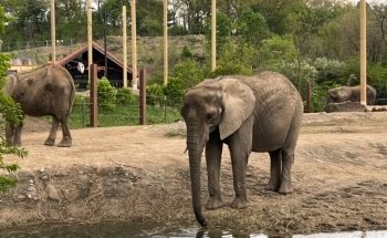 Pittsburgh Zoo & Aquarium