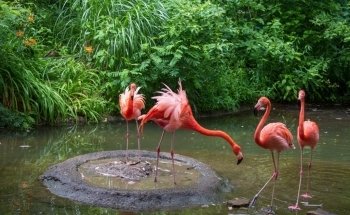 Pittsburgh Zoo & Aquarium