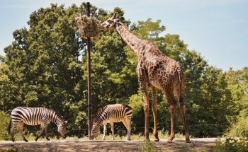 Pittsburgh Zoo & Aquarium
