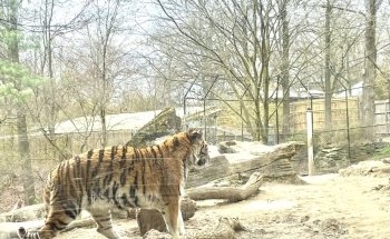 Pittsburgh Zoo & Aquarium