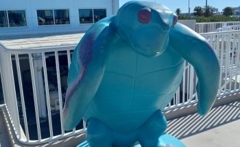 Clearwater Marine Aquarium
