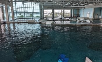 Clearwater Marine Aquarium