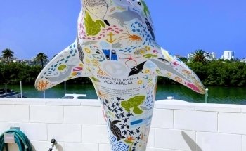 Clearwater Marine Aquarium