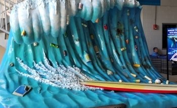 Clearwater Marine Aquarium