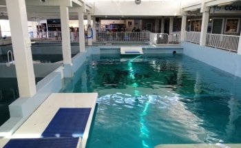 Clearwater Marine Aquarium