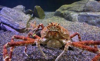 Mystic Aquarium