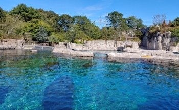 Mystic Aquarium
