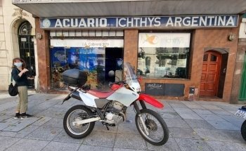 Ichthys Aquarium