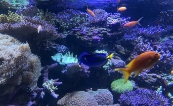 New York Aquarium