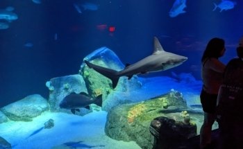 New York Aquarium