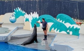 New York Aquarium