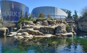 New York Aquarium