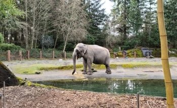 Point Defiance Zoo & Aquarium