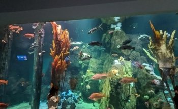 Point Defiance Zoo & Aquarium