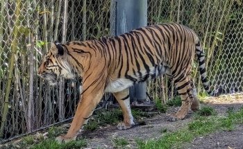 Point Defiance Zoo & Aquarium