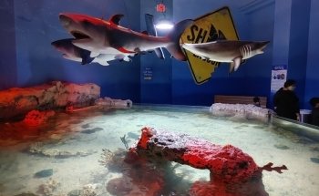 One World Interactive Aquarium formerly SeaQuest