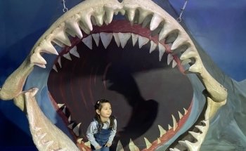 One World Interactive Aquarium formerly SeaQuest