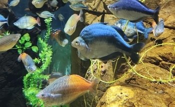 Virginia Aquarium & Marine Science Center