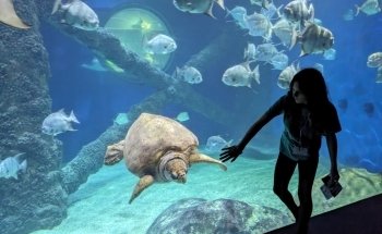 Virginia Aquarium & Marine Science Center