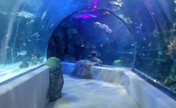 Virginia Aquarium & Marine Science Center