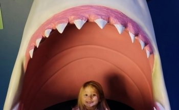 Virginia Aquarium & Marine Science Center
