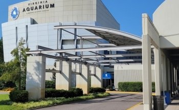 Virginia Aquarium & Marine Science Center
