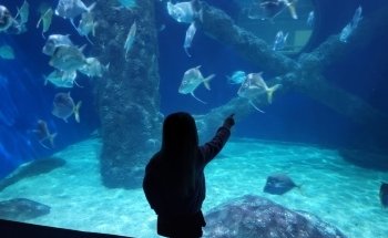 Virginia Aquarium & Marine Science Center