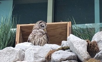 Audubon Aquarium