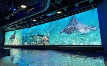 Audubon Aquarium