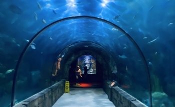 Audubon Aquarium