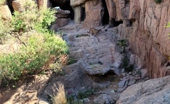 Arizona-Sonora Desert Museum